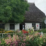 Traumhafte Im Reetferienhaus By Interhome Lejlighed